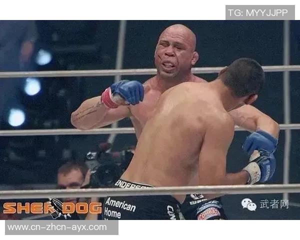 丹亨德森与菲多的巅峰对决谁能笑到最后揭开战斗真相